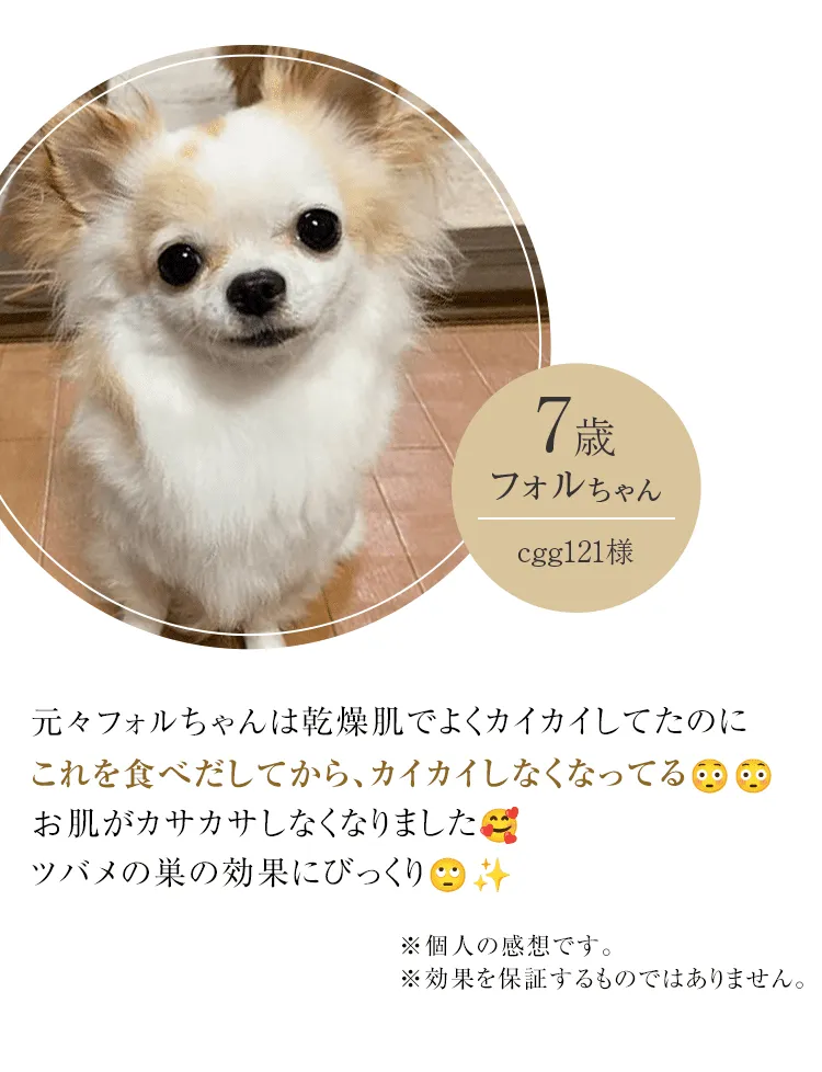 元々フォルちゃんは乾燥肌でよくカイカイしてたのに
                これを食べだしてから、カイカイしなくなってる お肌がカサカサしなくなりました ツバメの巣の効果にびっくり