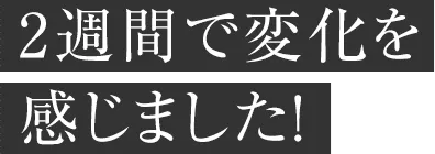食べ始めて2週間が経過食いつきは相変わらず何でも食べるマレたん なんとな〜くだけど被毛が柔らかくなったように感じるかな？
                    ツバメの巣の栄養素って人間でも凄いもんね！にしても私が食べたーい