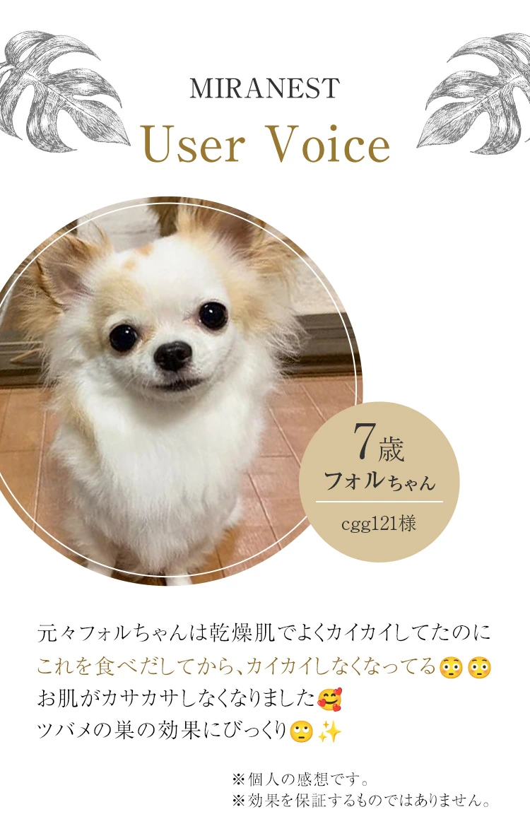 愛犬のための厳選成分を配合：細胞をエイジングケア