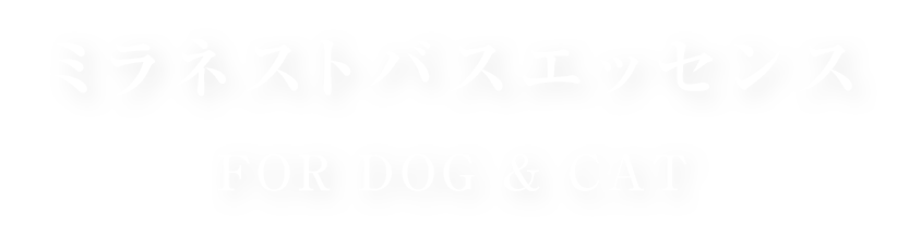 product_name