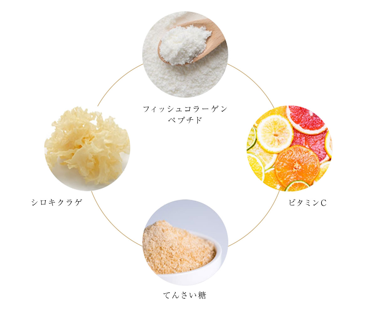 BI-SUエキスゼリースティック | 天然高級ツバメの巣【BI-SU】