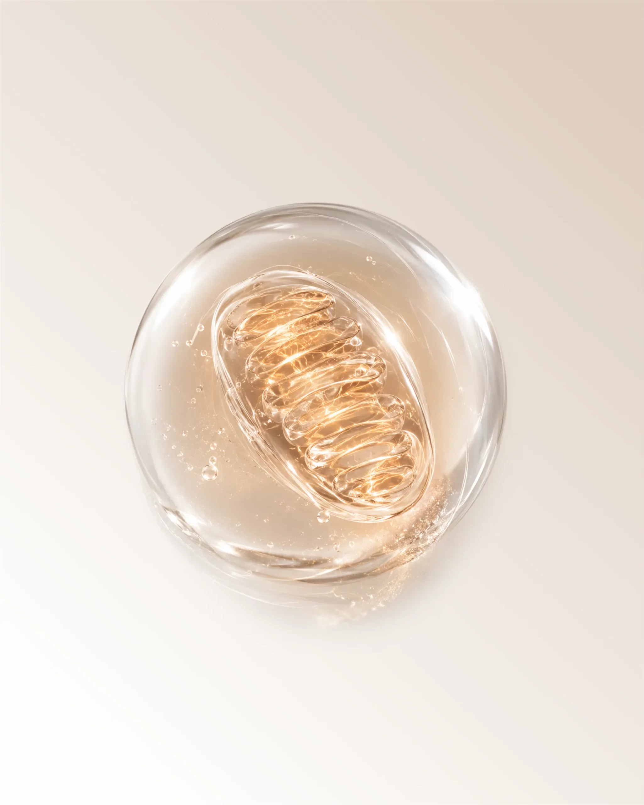 https://www.bi-su.jp/wp-content/uploads/2026/10/topics_mitochondrial-scaled.webp0